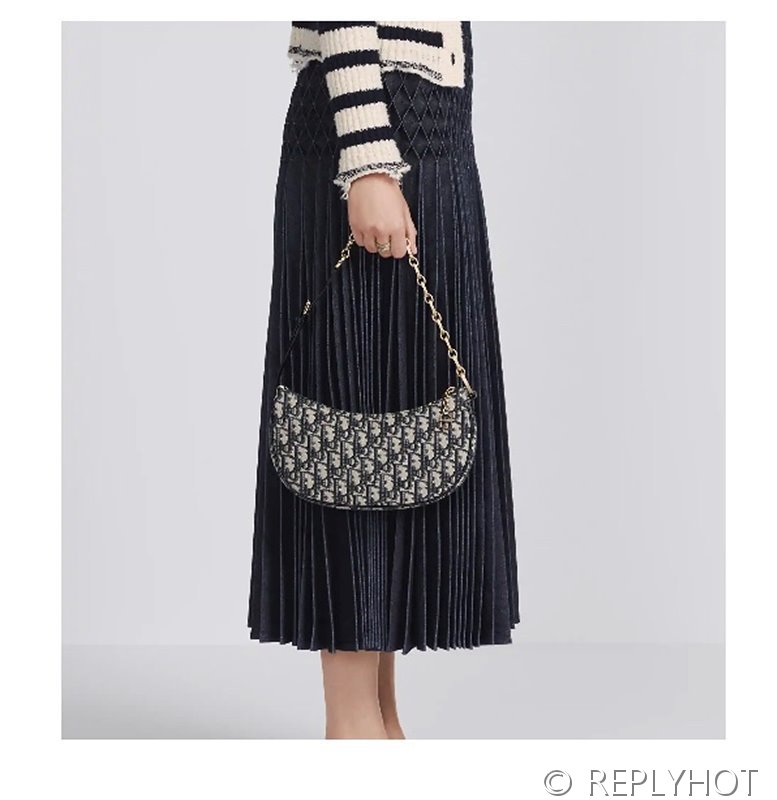 디올 오블리크 라운지 호보 숄더백 [매장가 380만원대]