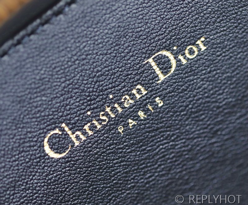 디올 오블리크 CD시크니처 오벌 카메라 미니 백 [매장가 345만원대]