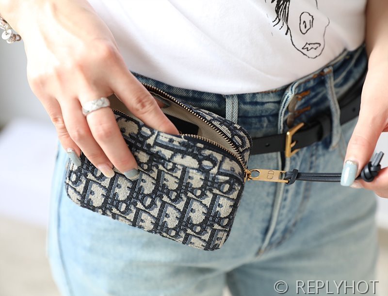 디올 오블리크 캔버스 벨트백