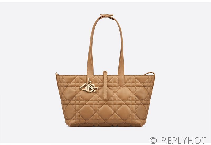 디올 Toujours 뚜주흐 미디엄 백 / 브라운 [매장가530만원대]