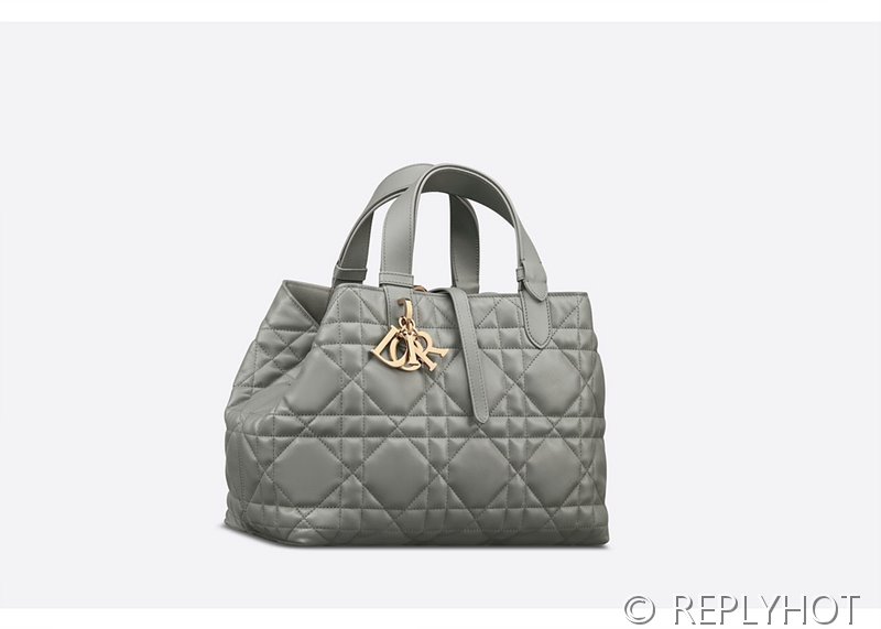 디올 Toujours 뚜주흐 미디엄 백 / 그레이 [매장가530만원대]