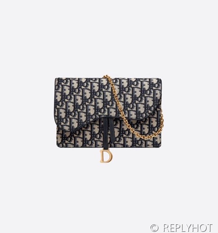 디올 SADDLE 파우치 / [295만원대]