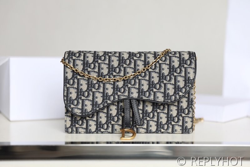 디올 SADDLE 파우치 / [295만원대]