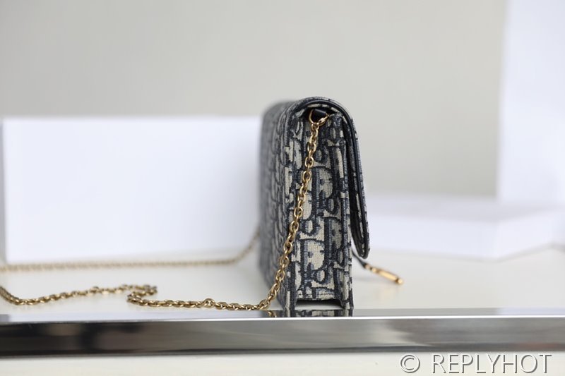 디올 SADDLE 파우치 / [295만원대]