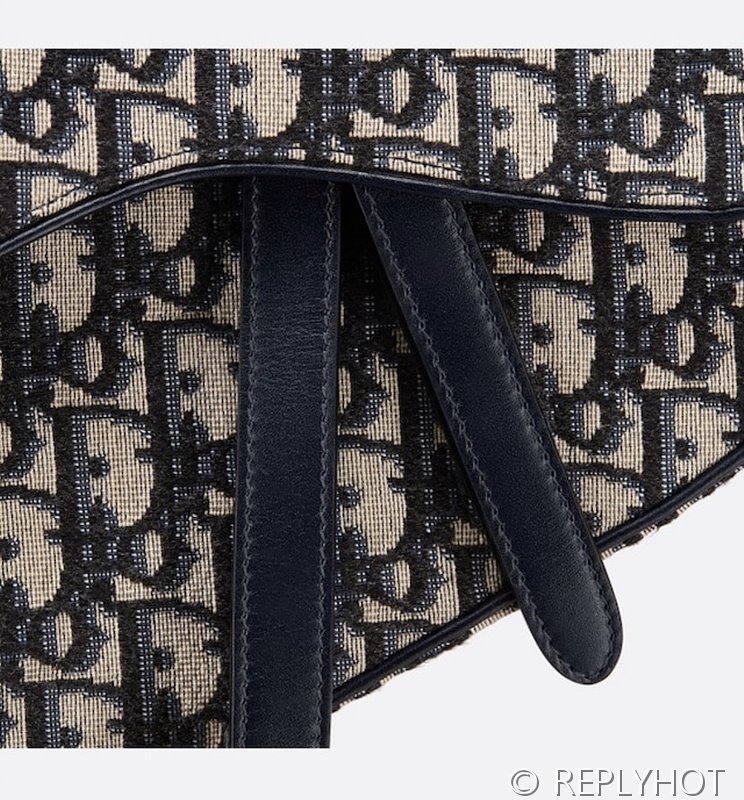 디올 SADDLE 스트랩 백 / 오블리크자카드 [580만원대]