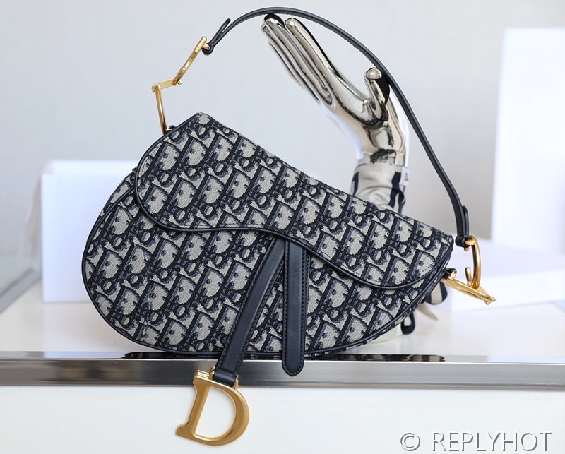 디올 SADDLE 스트랩 백 / 오블리크자카드 [580만원대]