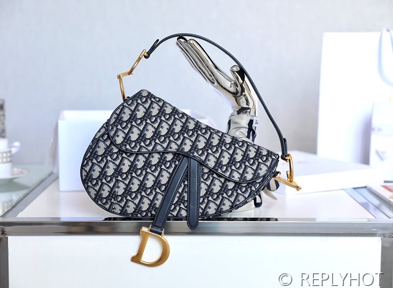 디올 SADDLE 스트랩 백 / 오블리크자카드 [580만원대]