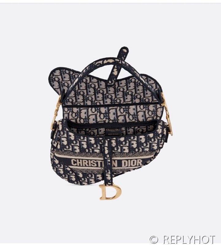 디올 SADDLE 스트랩 백 / 오블리크 [580만원대]