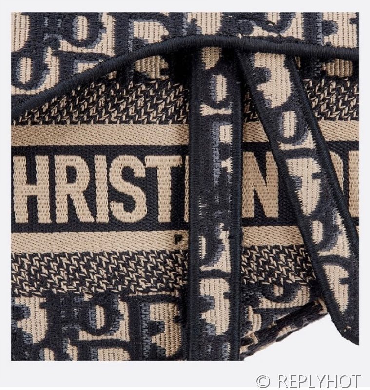 디올 SADDLE 스트랩 백 / 오블리크 [580만원대]