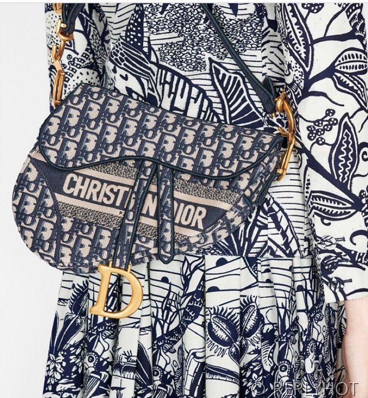 디올 SADDLE 스트랩 백 / 오블리크 [580만원대]