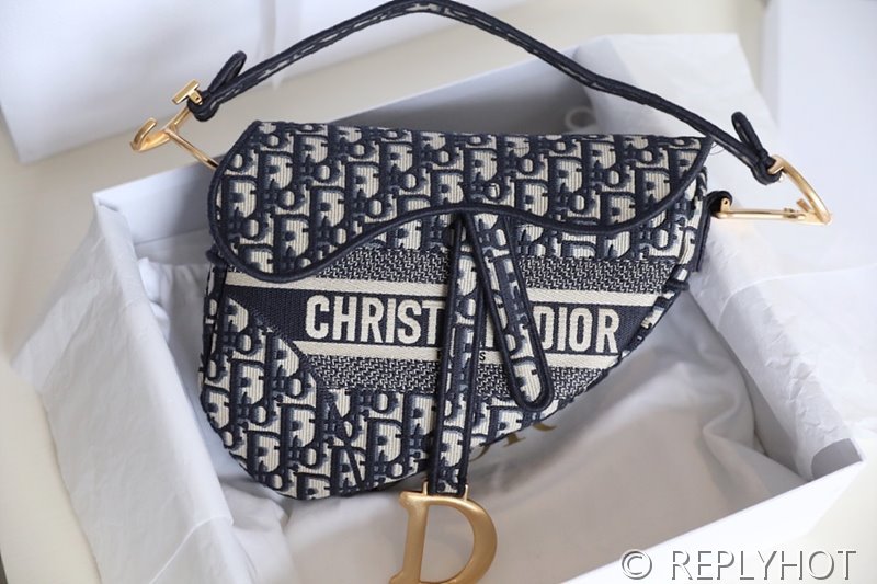 디올 SADDLE 스트랩 백 / 오블리크 [580만원대]