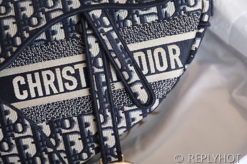 디올 SADDLE 스트랩 백 / 오블리크 [580만원대]