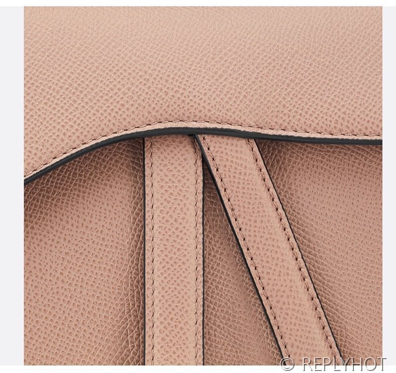 디올 SADDLE 스트랩 백 / 밀크브라운 [580만원대]