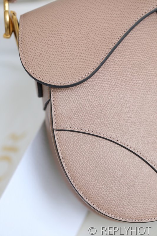 디올 SADDLE 스트랩 백 / 밀크브라운 [580만원대]