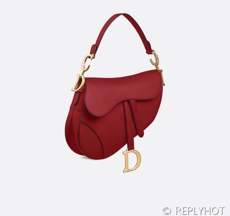 디올 SADDLE 스트랩 백 / 레드카운터 [580만원대]