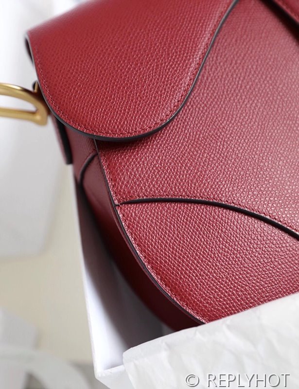 디올 SADDLE 스트랩 백 / 레드카운터 [580만원대]