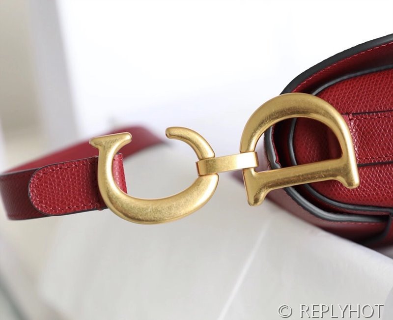 디올 SADDLE 스트랩 백 / 레드카운터 [580만원대]