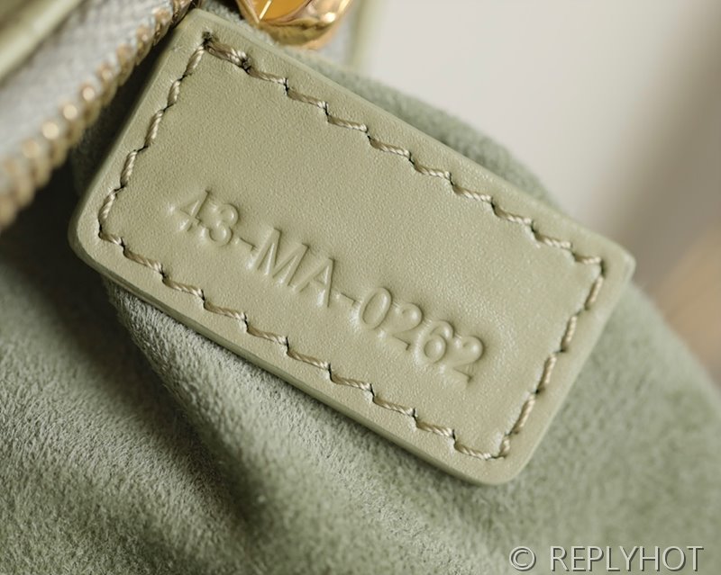 디올 카로 미니 튤립백 / 그레이그린 [매장가 395만원대]