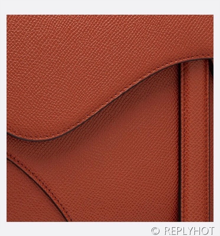 디올 SADDLE 스트랩 백 / 다크브론즈 [580만원대]