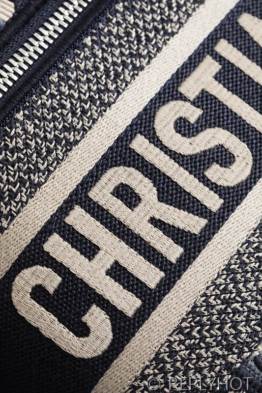 디올 트래블 베니티 케이스 / 오블리크 [매장가285만원대]