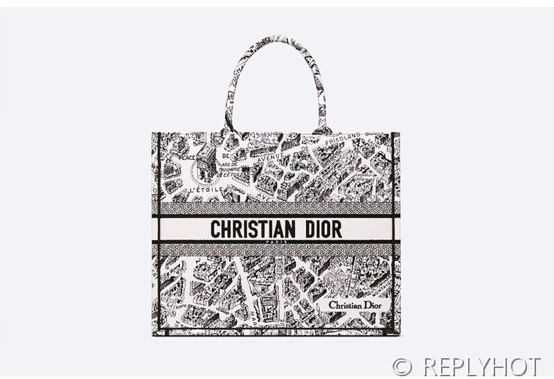 디올 북 토트 백 / 라지 / 파리 맵 [매장가490만원대]