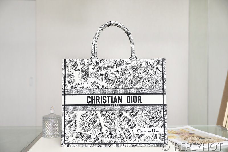 디올 북 토트 백 / 라지 / 파리 맵 [매장가490만원대]
