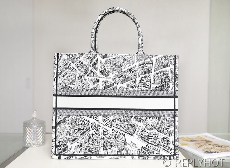 디올 북 토트 백 / 라지 / 파리 맵 [매장가490만원대]