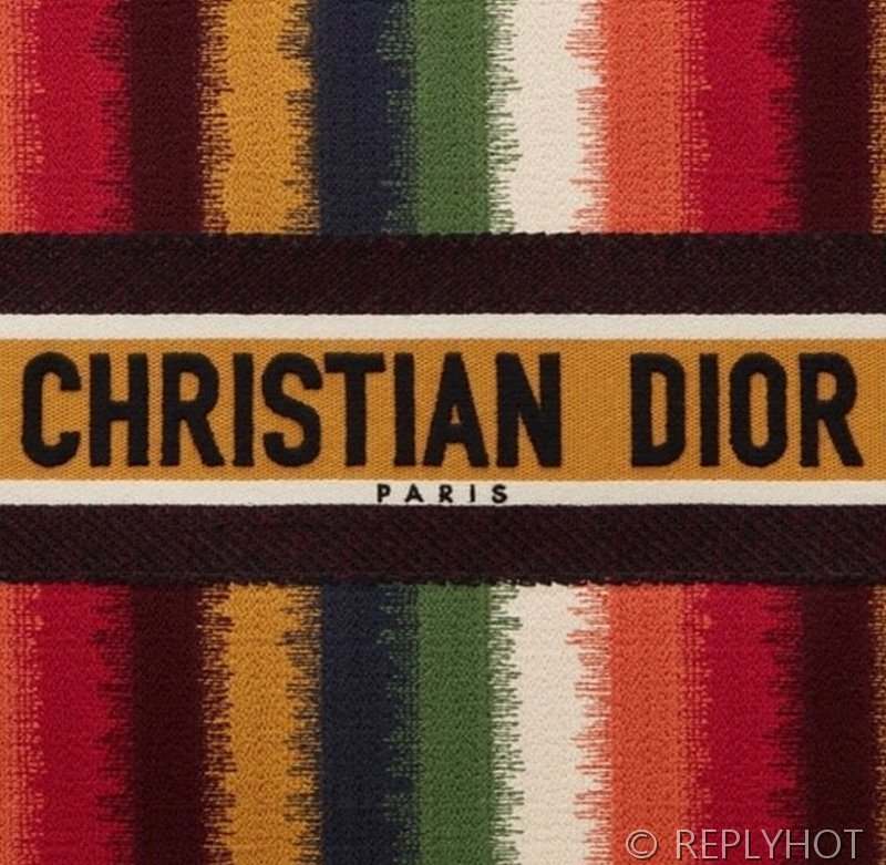 디올 북 토트 백 / 라지 / 컬러풀 스트라이프 [매장가490만원대]