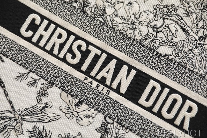 디올 북 토트 백 / 라지 / 잠자리 [매장가490만원대]