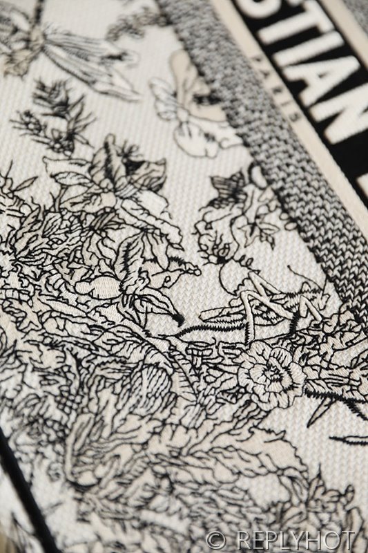 디올 북 토트 백 / 라지 / 잠자리 [매장가490만원대]