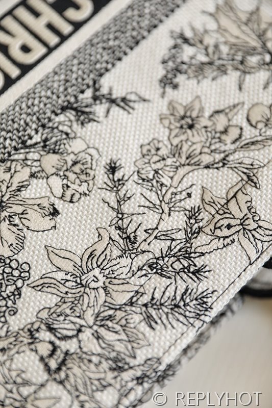 디올 북 토트 백 / 라지 / 잠자리 [매장가490만원대]