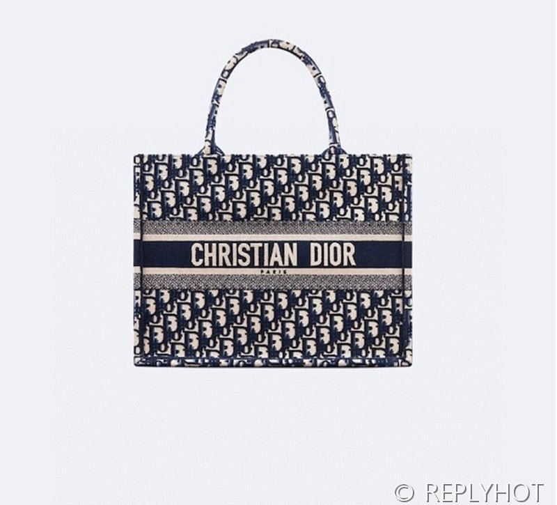 디올 북 토트 백 / 라지 / 오블리크 블루 [매장가490만원대]