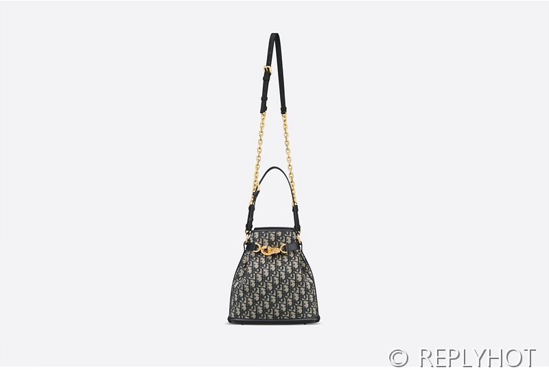 디올 C'est Dior 미디엄 백 / [매장가 480만원대]