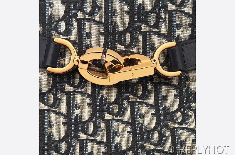 디올 C'est Dior 미디엄 백 / [매장가 480만원대]