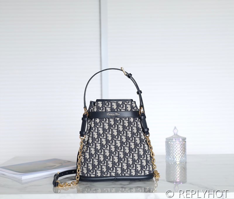 디올 C'est Dior 미디엄 백 / [매장가 480만원대]