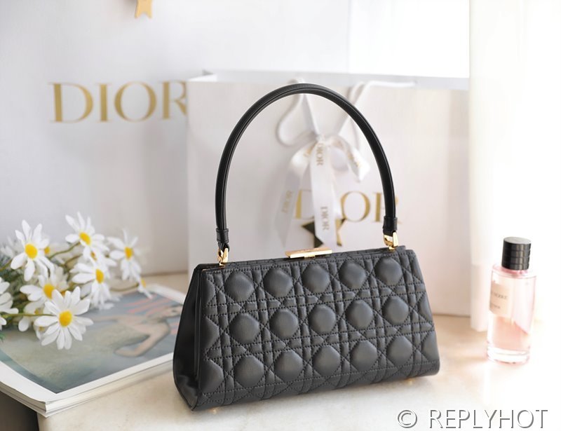 디올 CARO 탑핸들 백