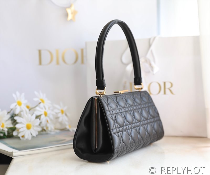 디올 CARO 탑핸들 백