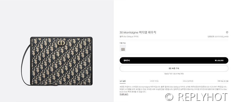 디올 30 Montaigne 미디엄 파우치 [매장가 145만원대]