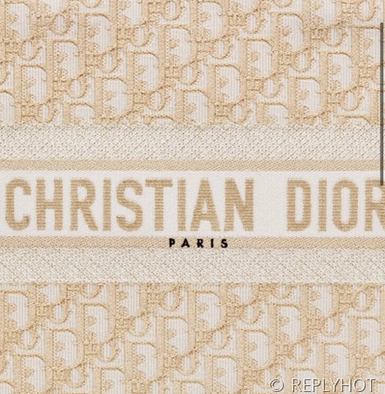 디올 북 토트 백 / 라지 / 오블리크 골드 [매장가490만원대]