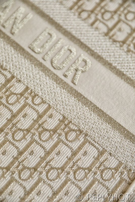 디올 북 토트 백 / 라지 / 오블리크 골드 [매장가490만원대]