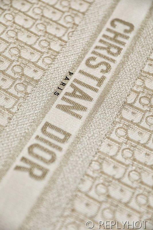 디올 북 토트 백 / 라지 / 오블리크 골드 [매장가490만원대]