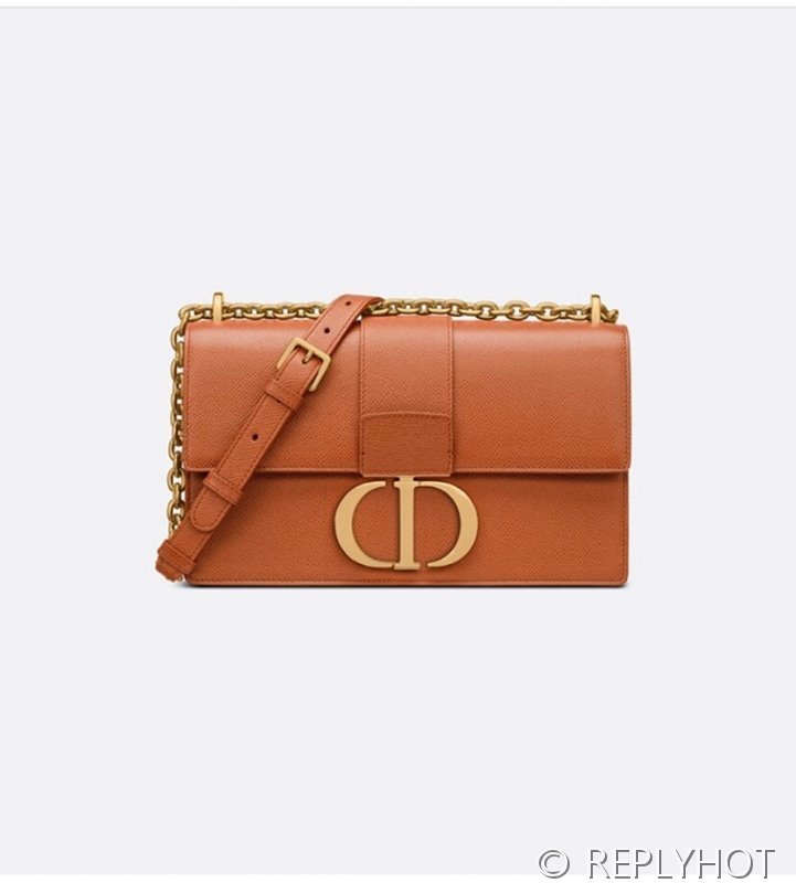 디올 30 Montaigne 몽테인 체인백 / 팜프린팅 브라운 [매장가 520만원대]