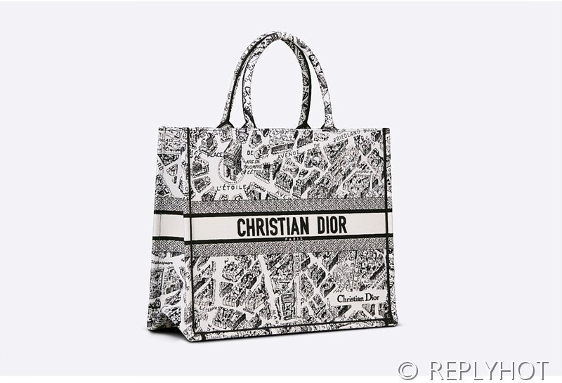 디올 북 토트 백 / 미디움 / 파리맵 [매장가475만원대]