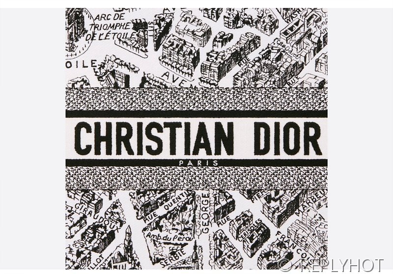 디올 북 토트 백 / 미디움 / 파리맵 [매장가475만원대]