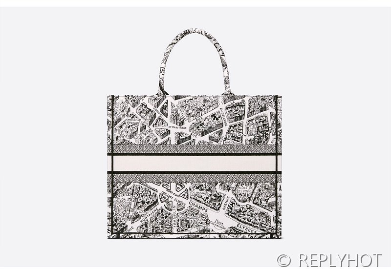 디올 북 토트 백 / 미디움 / 파리맵 [매장가475만원대]