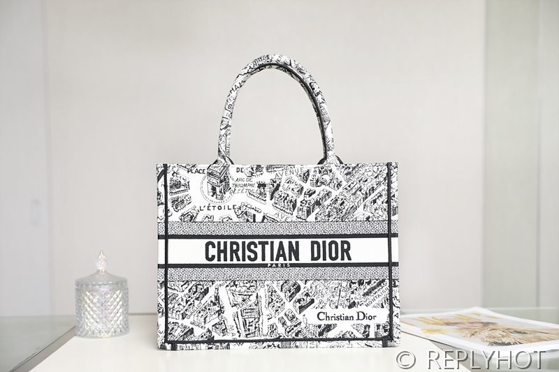 디올 북 토트 백 / 미디움 / 파리맵 [매장가475만원대]