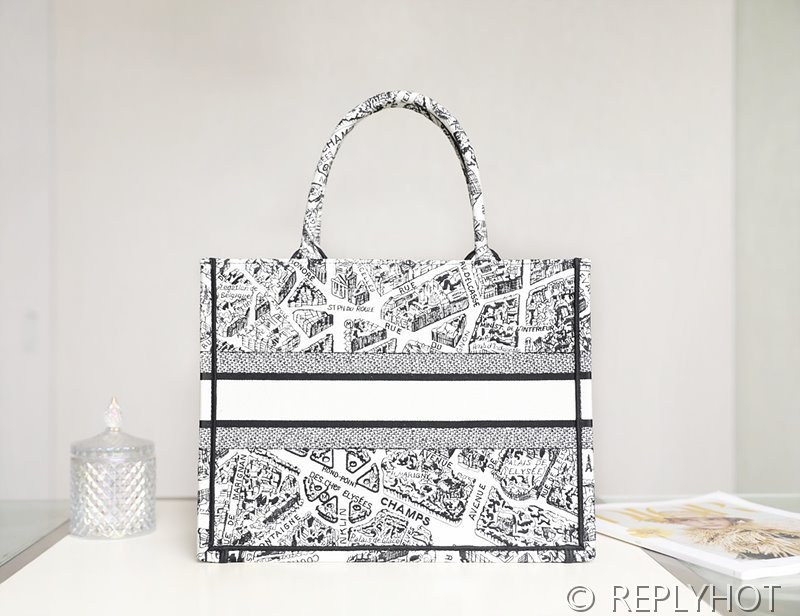 디올 북 토트 백 / 미디움 / 파리맵 [매장가475만원대]