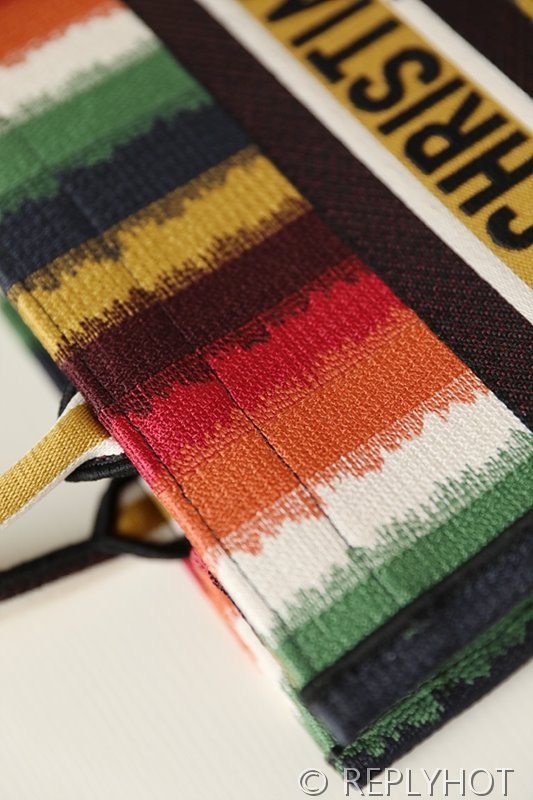 디올 북 토트 백 / 미디움 / 컬러풀 스트라이프 [매장가475만원대]