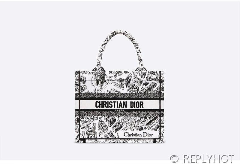 디올 북 토트 백 / 스몰 / 파리 맵 [매장가455만원대]