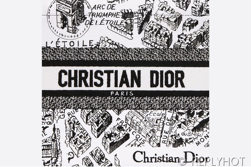 디올 북 토트 백 / 스몰 / 파리 맵 [매장가455만원대]